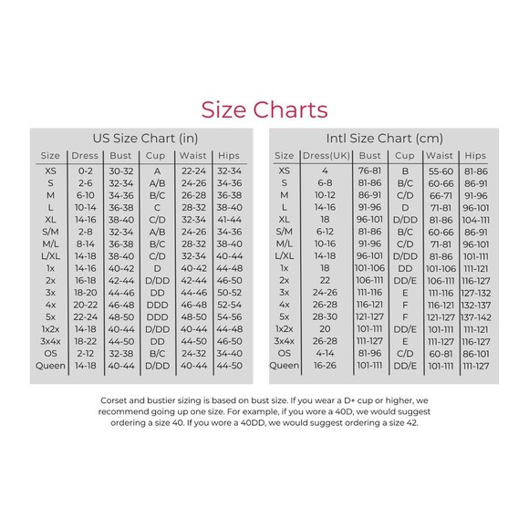 Long Sleeve Bodystocking Sheer and Opaque Women One Size OS Body Stocking - Picture 2 of 7